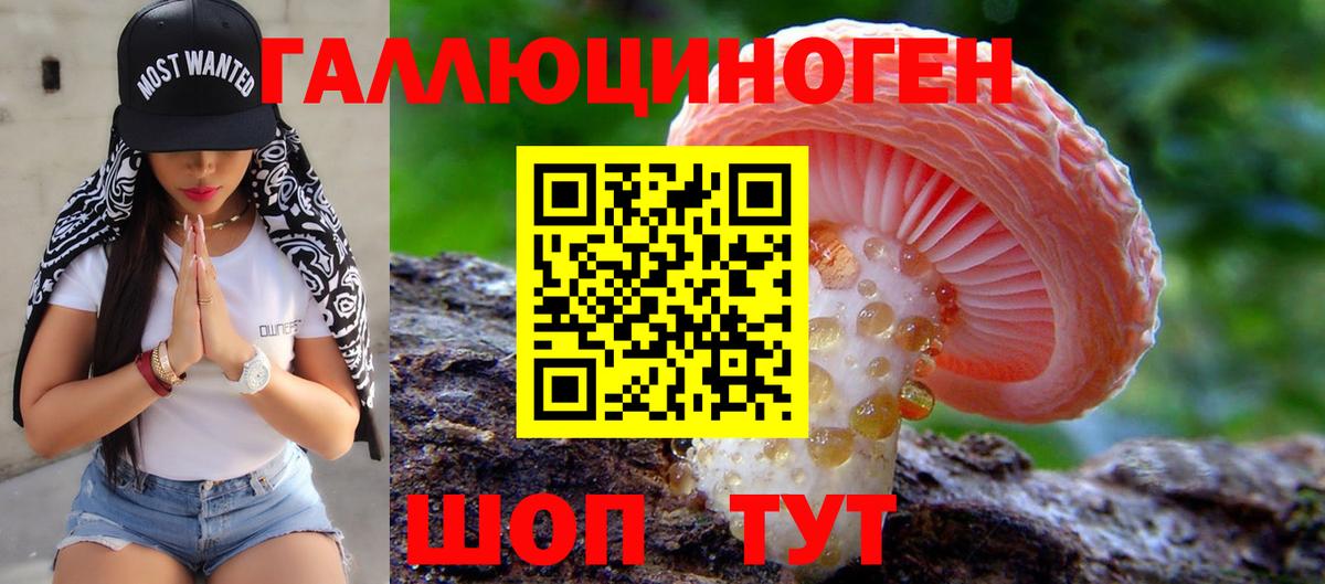Зеленогорск  Псилоцибиновые грибы Psilocybe  купить наркотики сайты  Вход с VPN 
